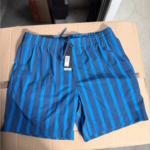 Banana Republic Blue Striped Swim Trunks